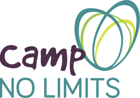 How Camp No Limits Collects Photos Across 12 Camps image
